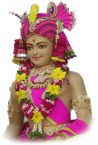 Patotsav of Manavadar Shri Lalji Maharaj